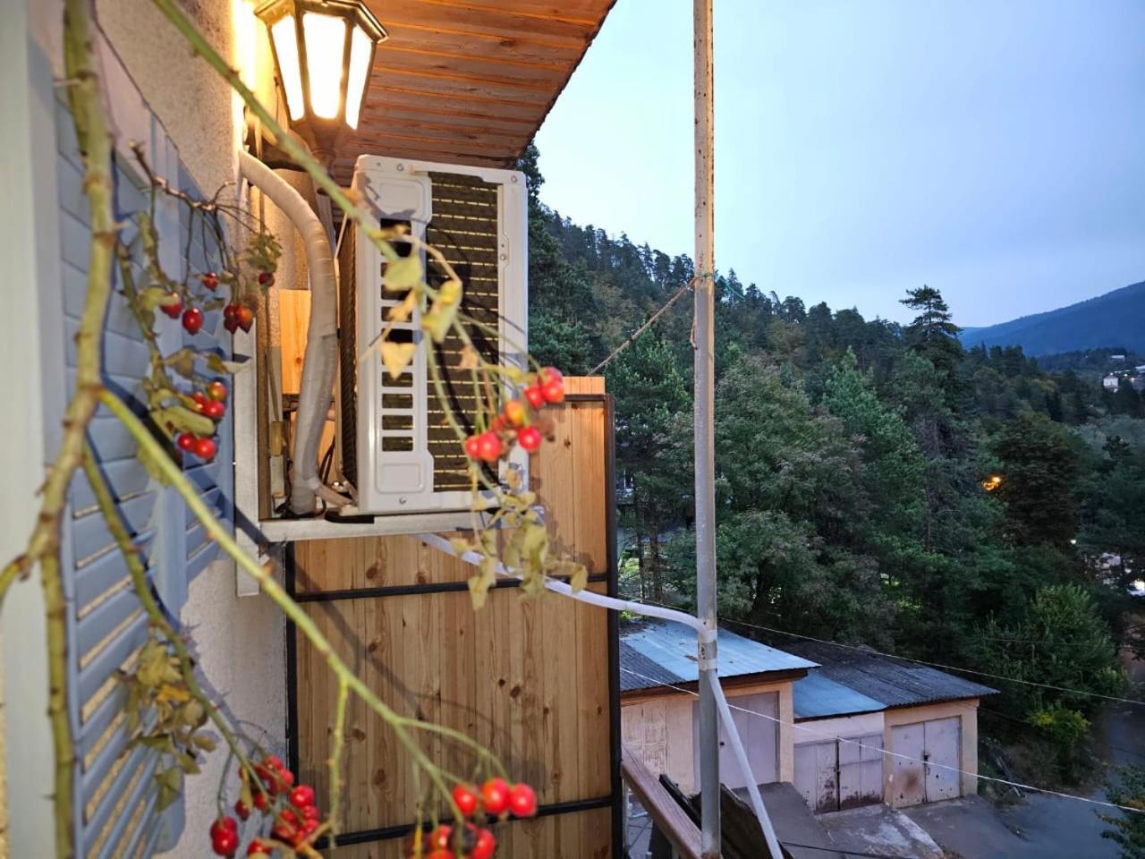 Guest House Likani 2017 보르조미 객실 사진