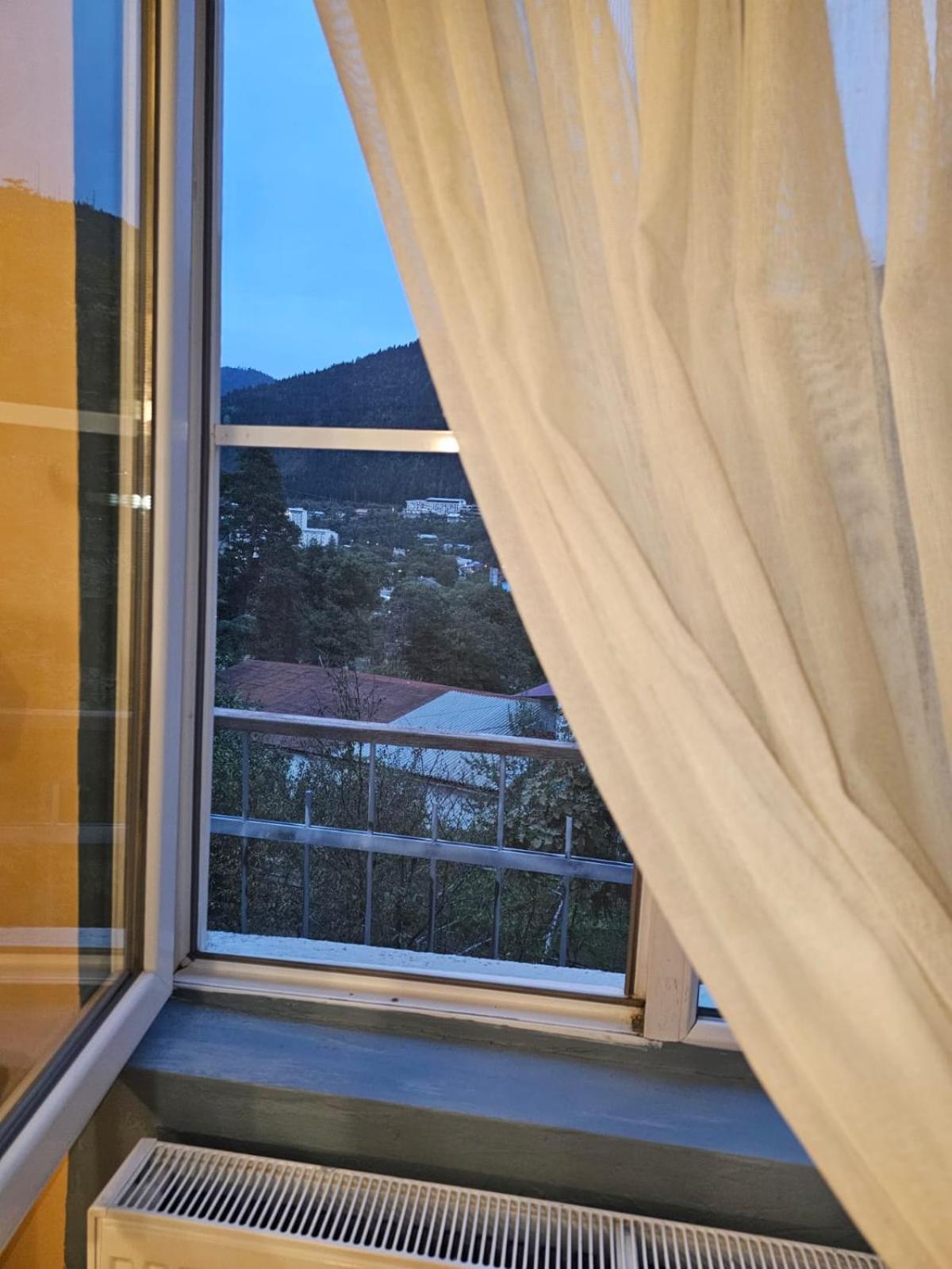 Guest House Likani 2017 보르조미 객실 사진