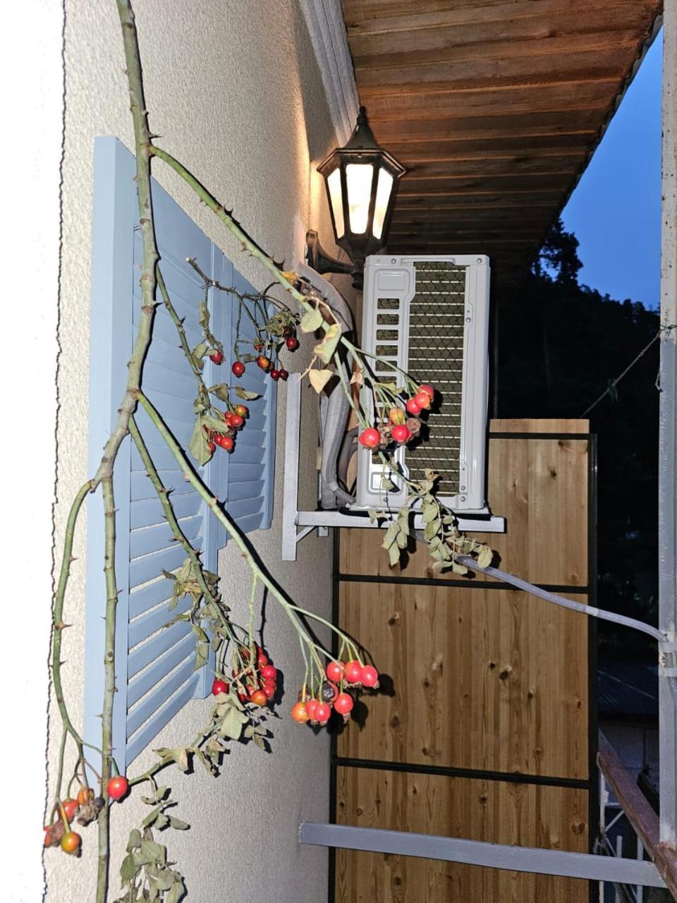 Guest House Likani 2017 보르조미 객실 사진