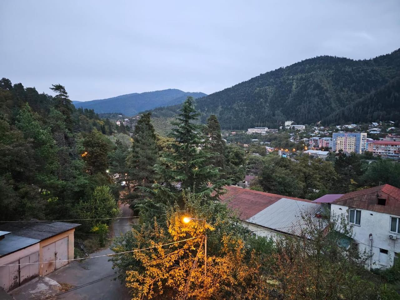 Guest House Likani 2017 보르조미 객실 사진