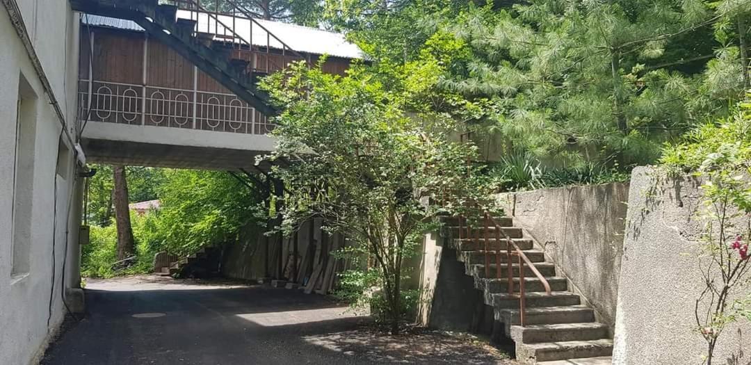 Guest House Likani 2017 보르조미 객실 사진