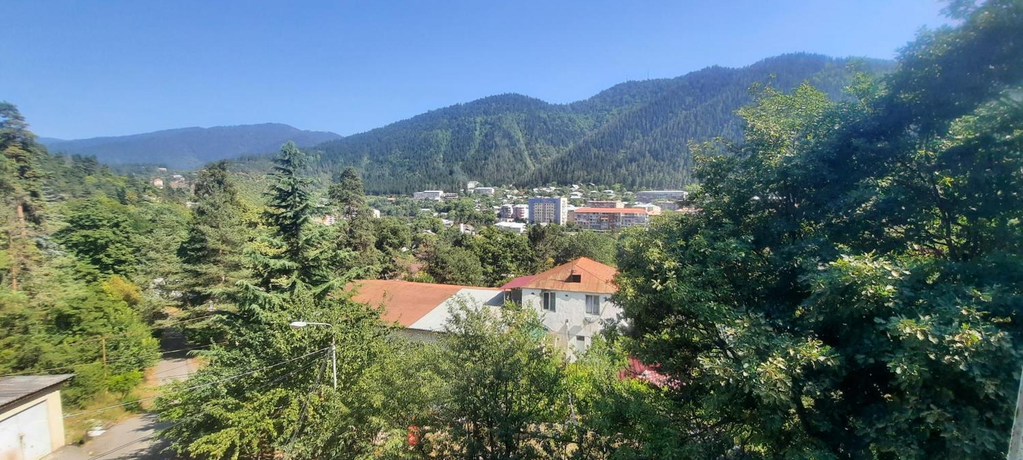 Guest House Likani 2017 보르조미 객실 사진