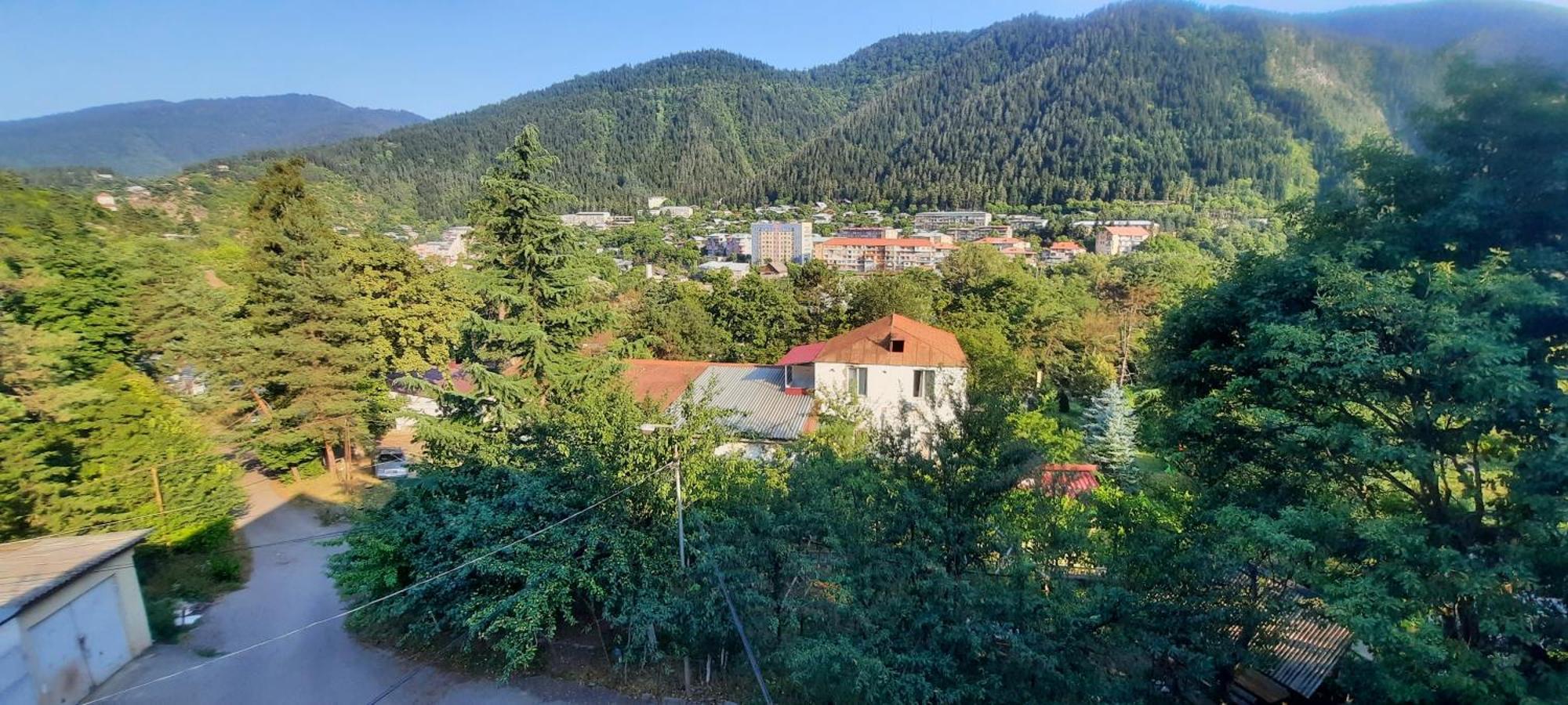 Guest House Likani 2017 보르조미 객실 사진